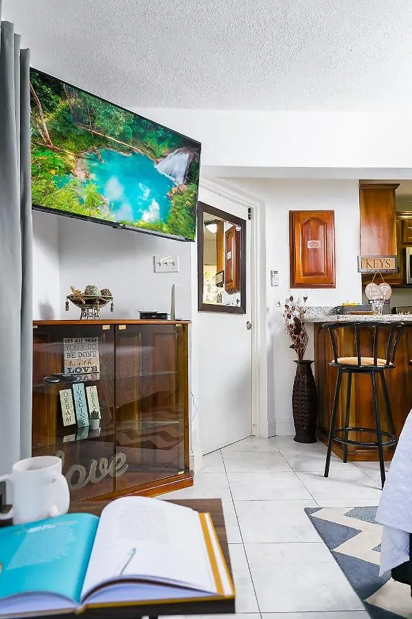 شقة أوشو ريوس  في Quaint Mini-Mystic Studio! جامايكا